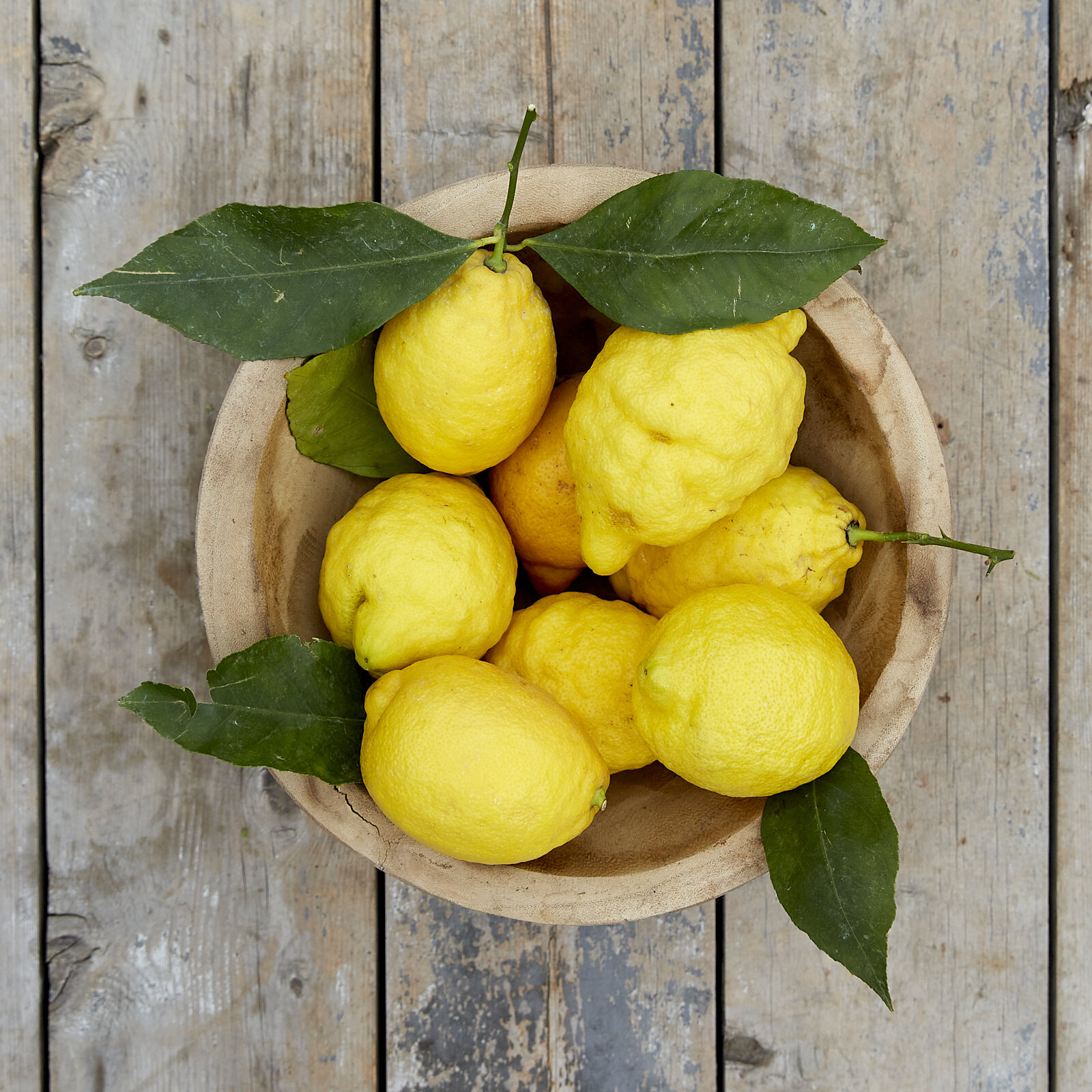 Unwaxed Sicilian Lemons — Kingfisher Farm Shop